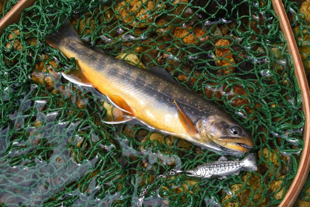 北海道でオショロコマを釣ったら入れ食いだった | 釣り針ネックレス